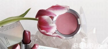 Franche Mineral Cosmetics提供美容课程 彩妆分享 美容产品等服务